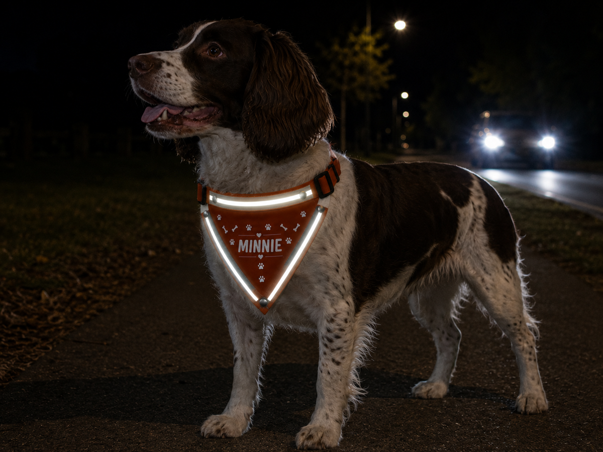 Custom Triangle Dog Bandana Personalised Design Text Photo Hi-Vis Reflective Option